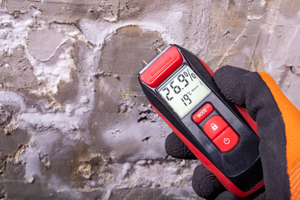 Best Emergency Mold Removal  in Mitchellville, MD