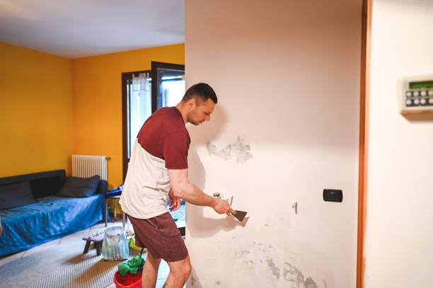 Home Mold Removal in Mitchellville, MD